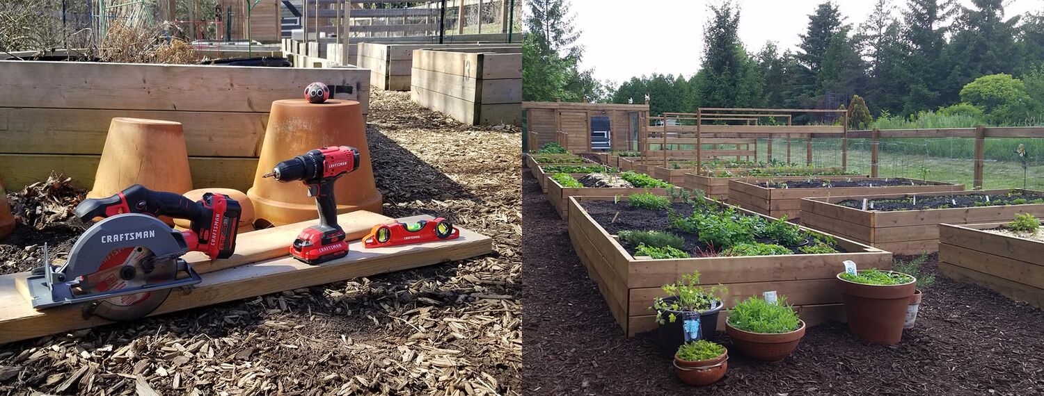 CRAFTSMAN V20 tools & hand tools displayed beside Raised Garden Bed, and Raised Garden Beds with plants
Sélection d’outils CRAFTSMAN et CRAFTSMAN V20 placés près de plates-bandes + vue latérale de plates-bandes en croissance
