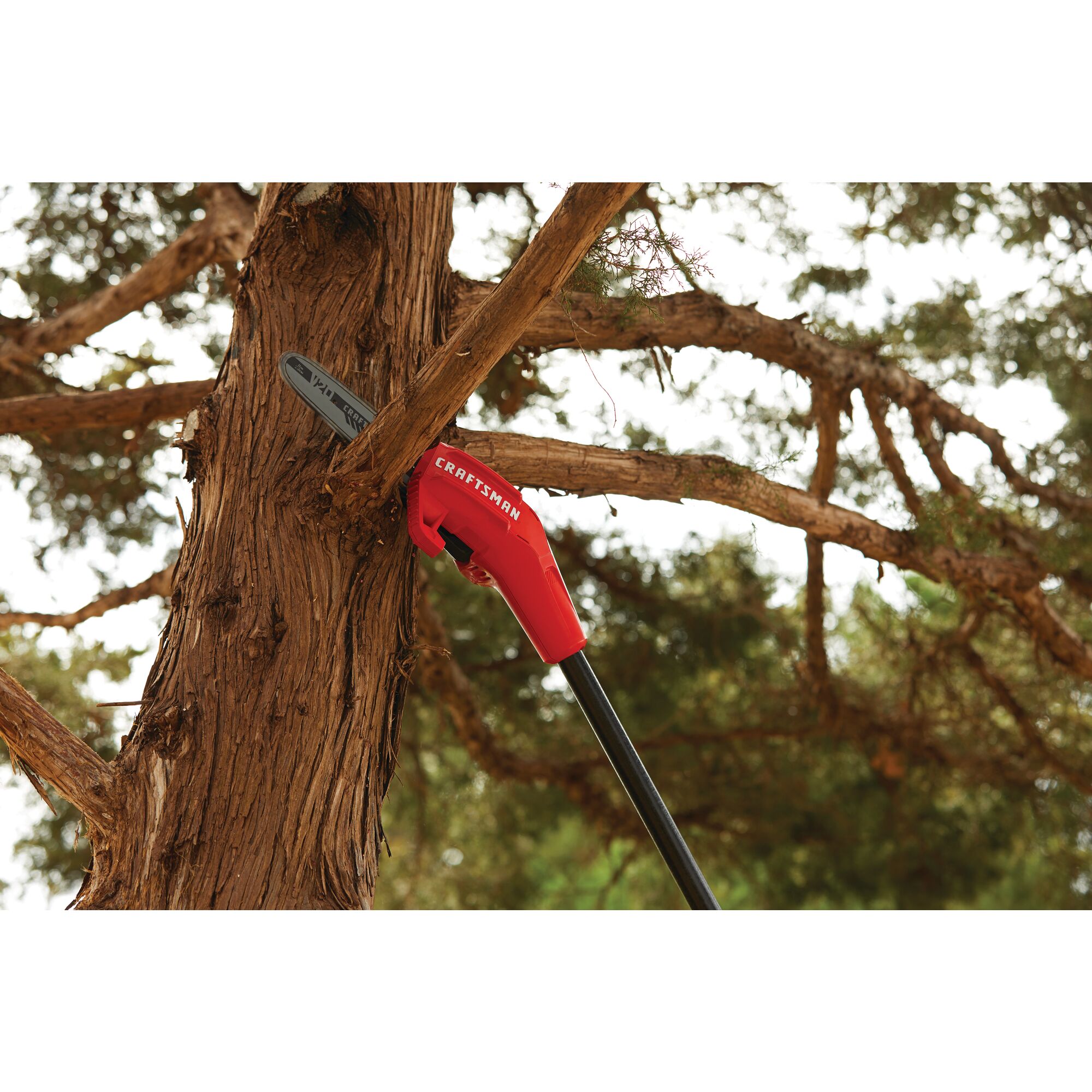 Craftsman v20 pole discount saw