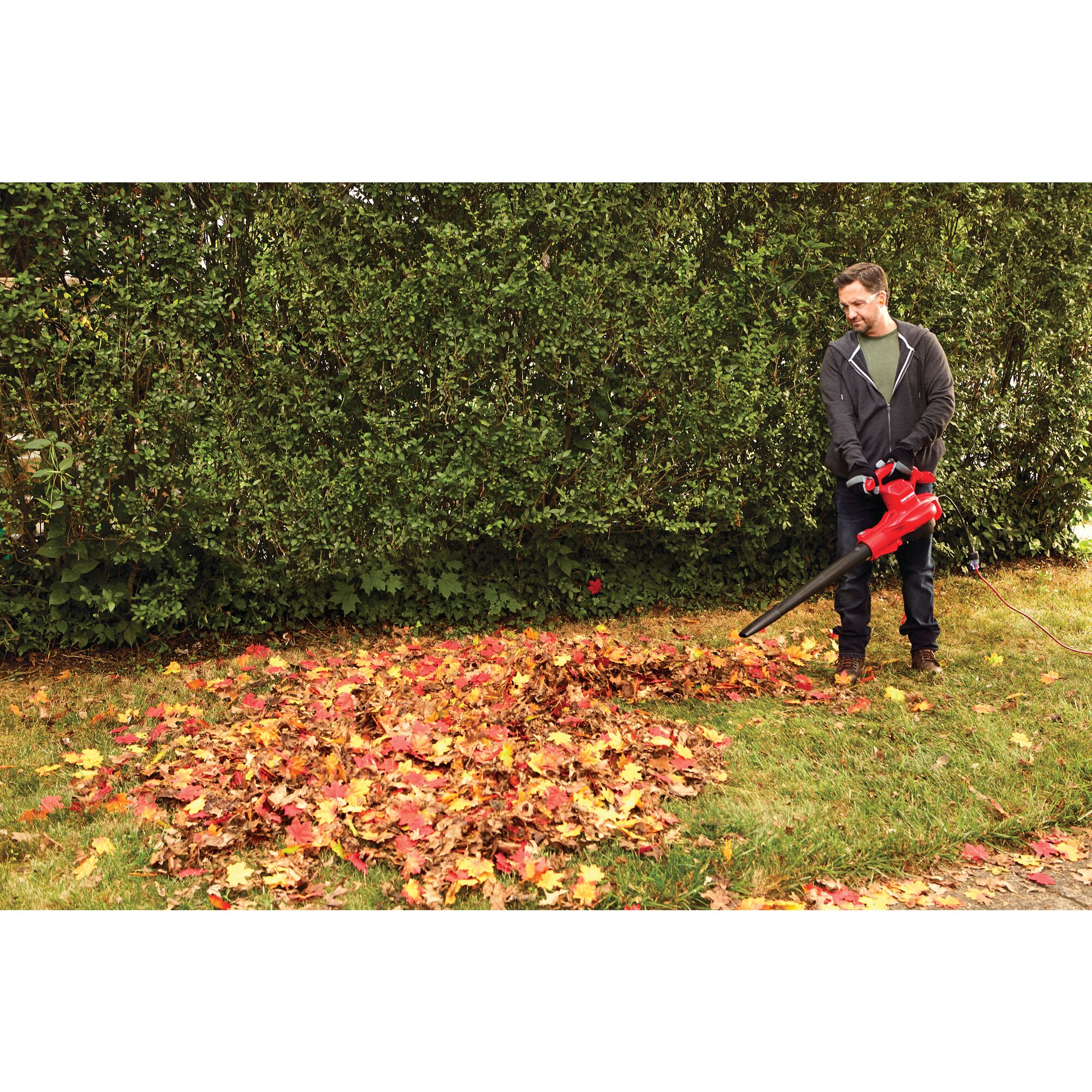 Craftsman 12 deals amp leaf blower