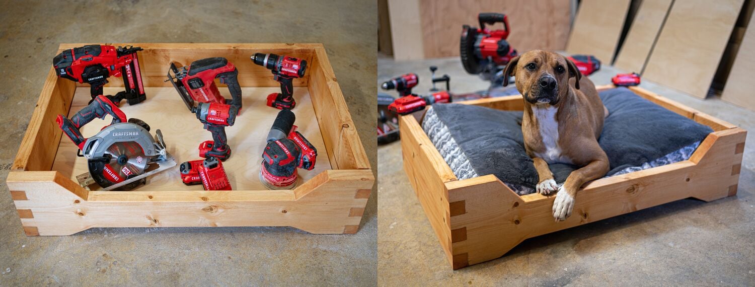 Dog lying in Wooden Pet Bed
Chien allongé dans son lit en bois